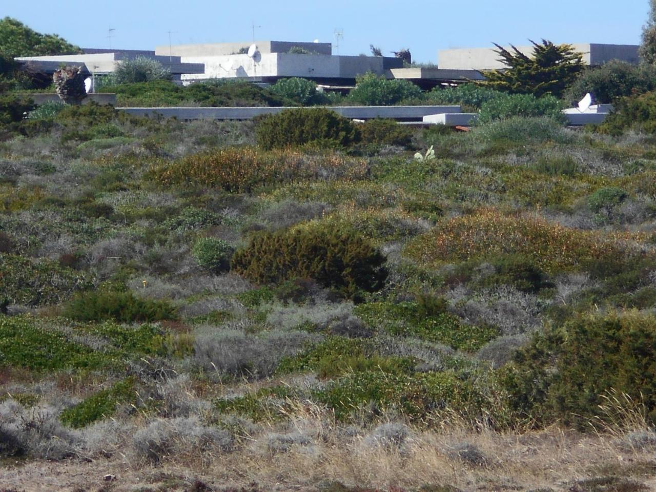 Le Punta Negra Vakantiehuis *