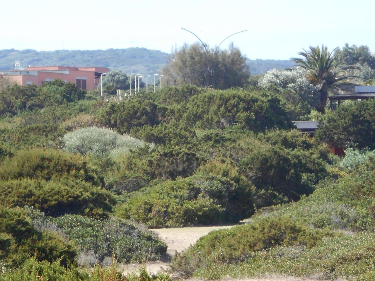 Le Punta Negra *