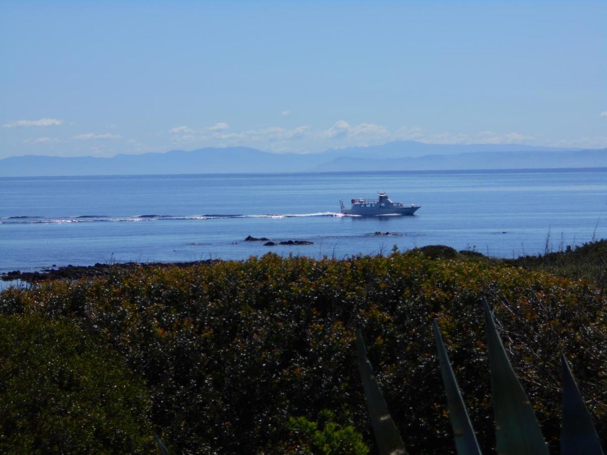 Le Punta Negra *
