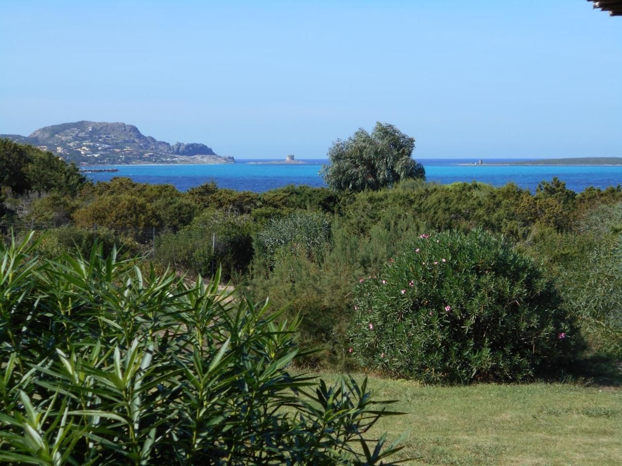 Le Punta Negra Stintino